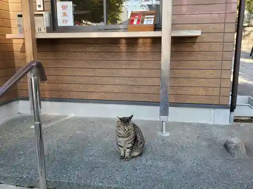 上田端八幡神社の動物
