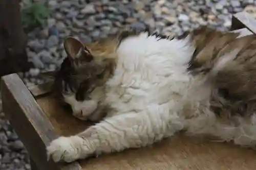 梅宮大社(京都府)