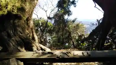 阿波々神社の周辺