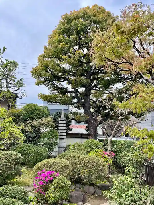 南泉寺(東京都)