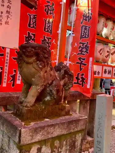 八坂神社(祇園さん)の狛犬