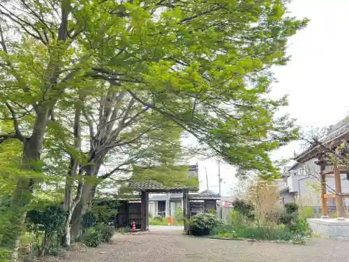 興敬寺の{uncategorized: "未分類", other: "その他", undefined: "問題あり", building: "その他建物", grave: "お墓", sacred_gate: "鳥居", guardian: "狛犬", statue: "像", buddha: "仏像", history: "歴史", nature: "自然", garden: "庭園", animal: "動物", pagoda: "塔", temizu: "手水舎", mountain_gate: "山門・神門", sanctuary: "本殿・本堂", subordinate: "末社・摂社", art: "芸術", scenery: "景色", jizo: "地蔵", ema: "絵馬", goshuin: "御朱印", omikuji: "おみくじ", items: "授与品その他", amulet: "お守り", goshuincho: "御朱印帳", eats: "食事", festival: "お祭り", votive_dance: "神楽", shichigosan: "七五三参", wedding: "結婚式", experience: "体験その他", initially: "初詣", around: "周辺", anti_infection: "感染症対策"}