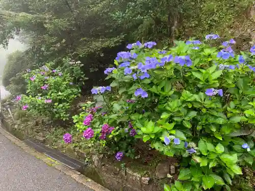 播州清水寺の自然
