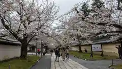 醍醐寺(京都府)