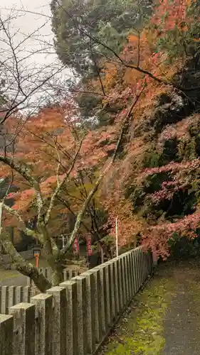 若山神社(大阪府)