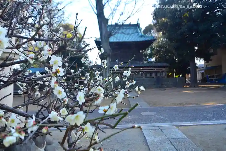西光院(千葉県)