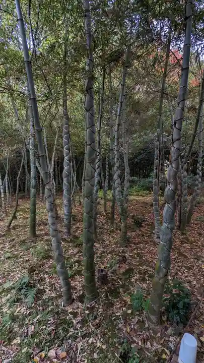 浄住寺(京都府)