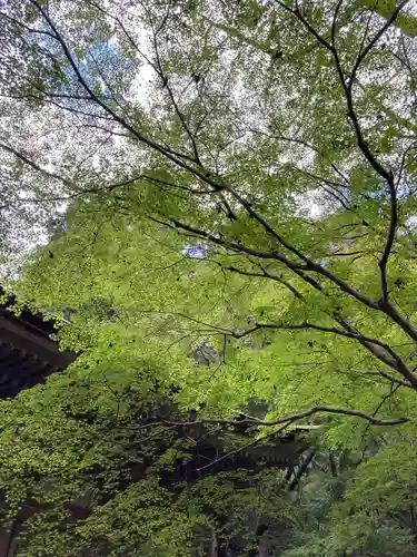 室生寺(奈良県)