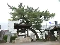 善立寺のその他建物