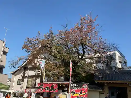 想念寺(愛知県)