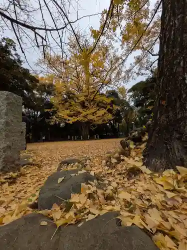 赤坂氷川神社(東京都)