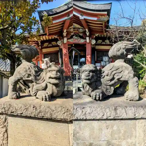 千住本氷川神社の狛犬