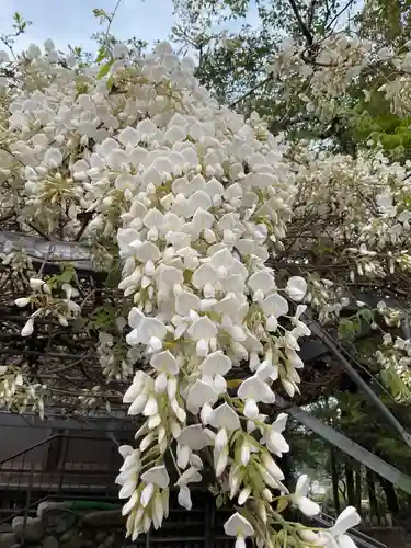 生蓮寺 跡(岐阜県)