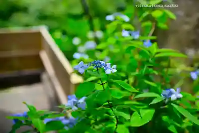 円覚寺(神奈川県)
