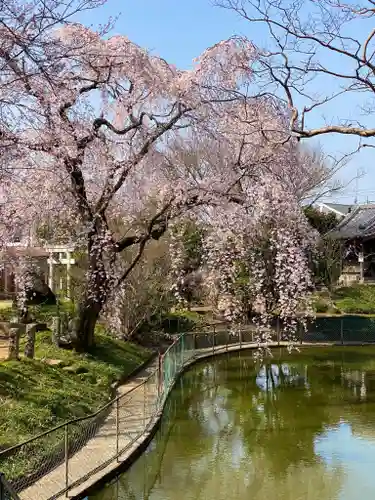 境香取神社の庭園