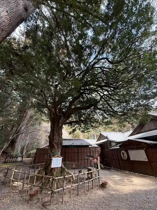 小國神社(静岡県)
