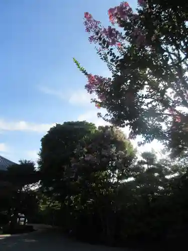 長谷寺(神奈川県)