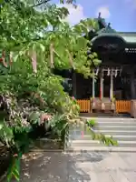 桜神宮(東京都)