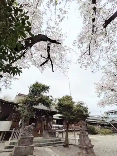 本郷氷川神社(東京都)