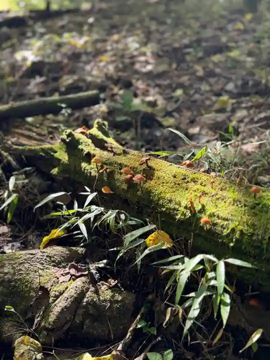 諏訪大社(長野県)