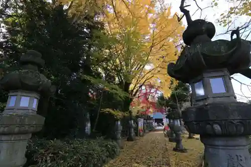 神炊館神社 ⁂奥州須賀川総鎮守⁂の景色