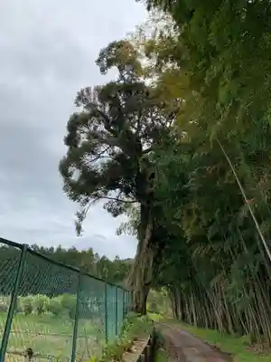貴舩神社の周辺