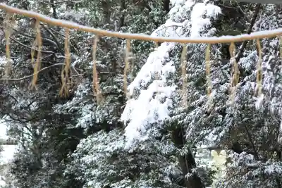 忍　諏訪神社・東照宮　の{uncategorized: "未分類", other: "その他", undefined: "問題あり", building: "その他建物", grave: "お墓", sacred_gate: "鳥居", guardian: "狛犬", statue: "像", buddha: "仏像", history: "歴史", nature: "自然", garden: "庭園", animal: "動物", pagoda: "塔", temizu: "手水舎", mountain_gate: "山門・神門", sanctuary: "本殿・本堂", subordinate: "末社・摂社", art: "芸術", scenery: "景色", jizo: "地蔵", ema: "絵馬", goshuin: "御朱印", omikuji: "おみくじ", items: "授与品その他", amulet: "お守り", goshuincho: "御朱印帳", eats: "食事", festival: "お祭り", votive_dance: "神楽", shichigosan: "七五三参", wedding: "結婚式", experience: "体験その他", initially: "初詣", around: "周辺", anti_infection: "感染症対策"}