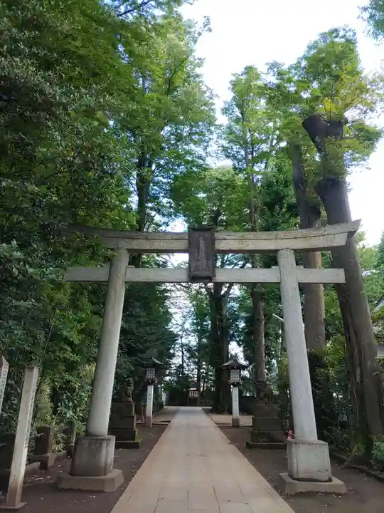 荻窪八幡神社(東京都)