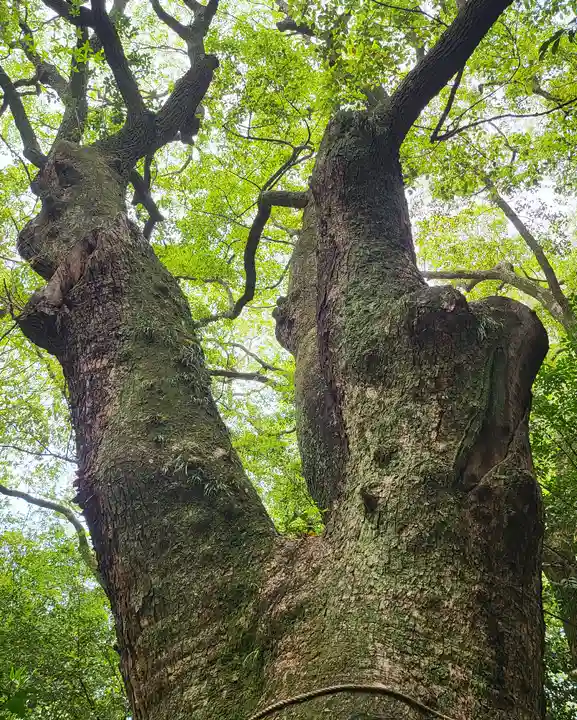 生田神社(兵庫県)