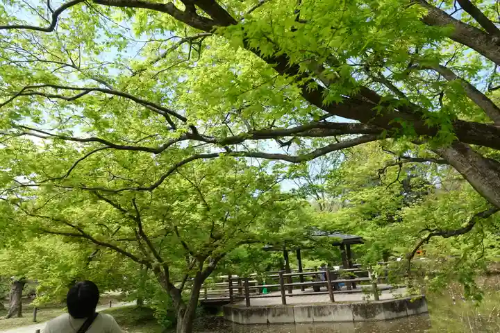 半木神社(賀茂別雷神社境外末社)(京都府)