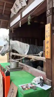 賀茂別雷神社（上賀茂神社）(京都府)
