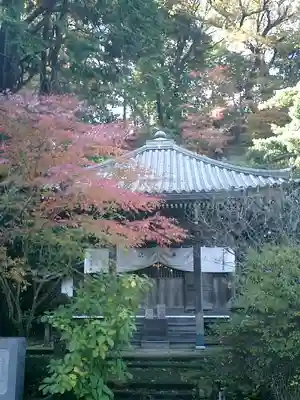 安國論寺（安国論寺）の本殿・本堂