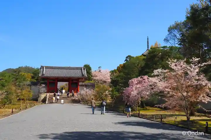 仁和寺(京都府)