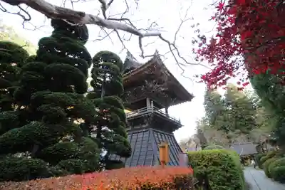 安楽寺(長野県)