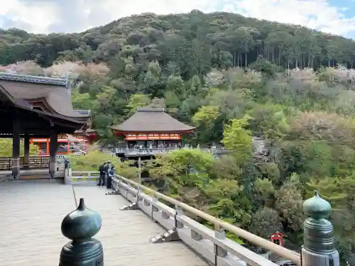 清水寺の{uncategorized: "未分類", other: "その他", undefined: "問題あり", building: "その他建物", grave: "お墓", sacred_gate: "鳥居", guardian: "狛犬", statue: "像", buddha: "仏像", history: "歴史", nature: "自然", garden: "庭園", animal: "動物", pagoda: "塔", temizu: "手水舎", mountain_gate: "山門・神門", sanctuary: "本殿・本堂", subordinate: "末社・摂社", art: "芸術", scenery: "景色", jizo: "地蔵", ema: "絵馬", goshuin: "御朱印", omikuji: "おみくじ", items: "授与品その他", amulet: "お守り", goshuincho: "御朱印帳", eats: "食事", festival: "お祭り", votive_dance: "神楽", shichigosan: "七五三参", wedding: "結婚式", experience: "体験その他", initially: "初詣", around: "周辺", anti_infection: "感染症対策"}