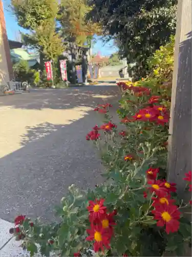 鷺宮八幡神社(東京都)