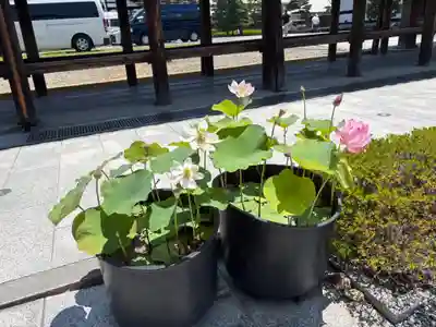 東福禅寺(東福寺)(京都府)