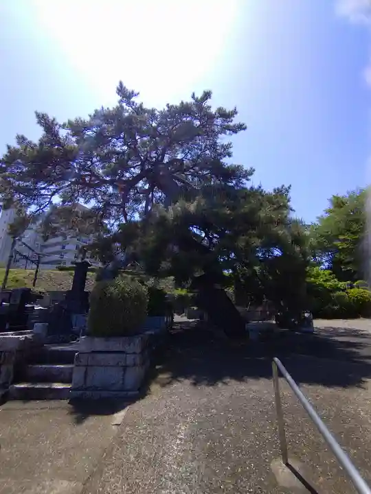 常楽寺(東京都)
