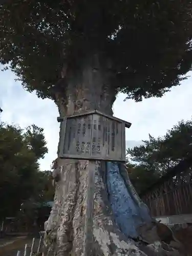 若宮八幡宮(茨城県)