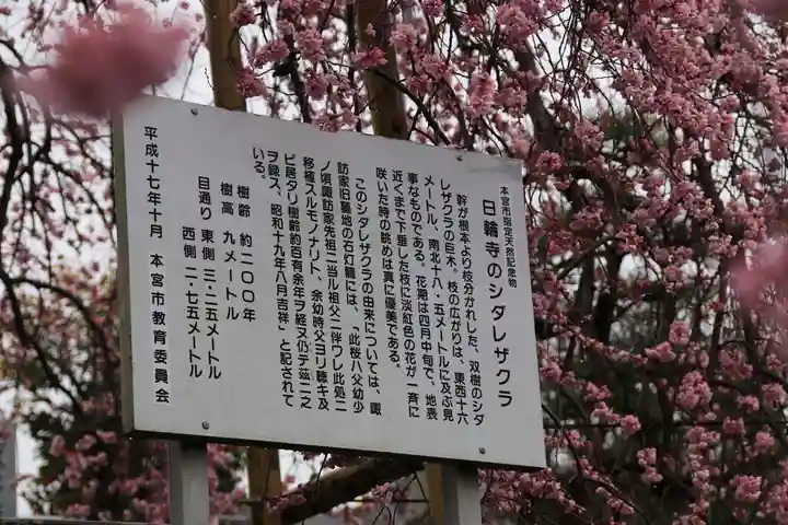 日輪寺のその他建物