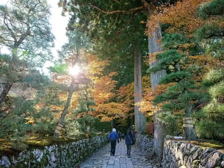 宝積山光前寺の自然