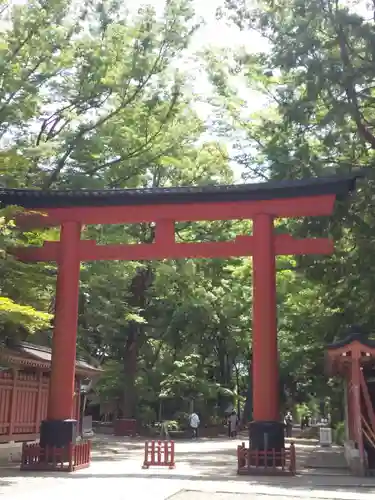 武蔵一宮氷川神社の鳥居