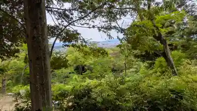 二尊院(京都府)