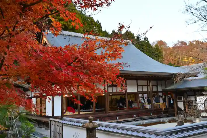 宝徳寺(群馬県)