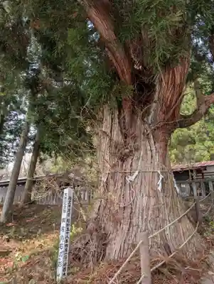 御座石神社(秋田県)