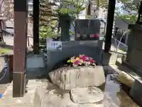 手稲神社の{uncategorized: "未分類", other: "その他", undefined: "問題あり", building: "その他建物", grave: "お墓", sacred_gate: "鳥居", guardian: "狛犬", statue: "像", buddha: "仏像", history: "歴史", nature: "自然", garden: "庭園", animal: "動物", pagoda: "塔", temizu: "手水舎", mountain_gate: "山門・神門", sanctuary: "本殿・本堂", subordinate: "末社・摂社", art: "芸術", scenery: "景色", jizo: "地蔵", ema: "絵馬", goshuin: "御朱印", omikuji: "おみくじ", items: "授与品その他", amulet: "お守り", goshuincho: "御朱印帳", eats: "食事", festival: "お祭り", votive_dance: "神楽", shichigosan: "七五三参", wedding: "結婚式", experience: "体験その他", initially: "初詣", around: "周辺", anti_infection: "感染症対策"}