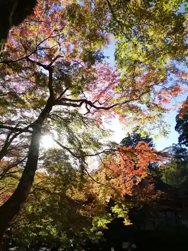 談山神社の自然