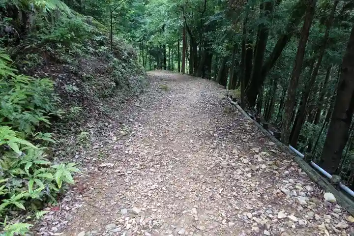 醍醐寺(上醍醐)の自然