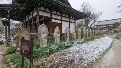 般若寺 ❁﻿コスモス寺❁(奈良県)