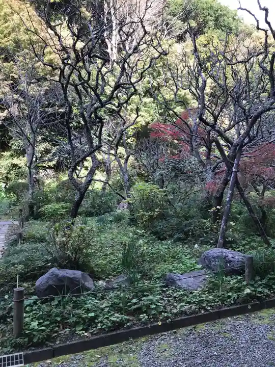 瑞泉寺の自然